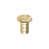 Polished Brass