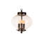 Oglethorpe 3 - Light Pendant
