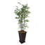 Bambou artificiel en pot 72 po Panama-1571517318-1571516536