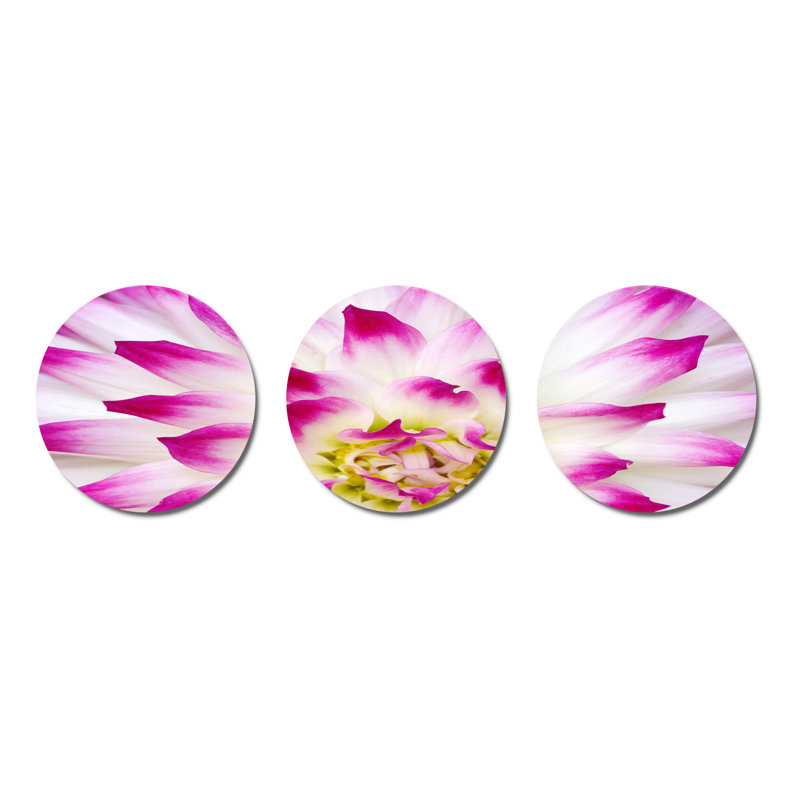 Plants & Flowers Wall Decor on Metal