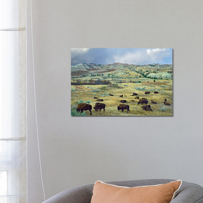 American Bison Herd Grazing On Shortgrass Praire Near Scoria Point, Theodore Roosevelt National Park, North Dakota I by Tim Fitzharris - Wrapped Canvas Print