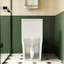 Elongated Ceramic Toilet, White, 1.1/1.6 , Comfort Height, Soft Close Seat, & , T036wt Elongated, Comfortable,