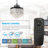 Wrington 36'' Ceiling Fan with Light Kit