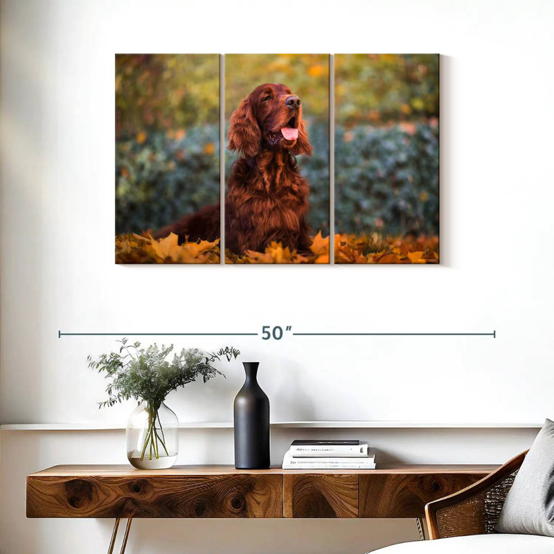 Setter irlandais en automne, H 24 po x l 38 po