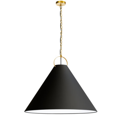 Luminaire suspendu incandescent 1 lumière Princeton