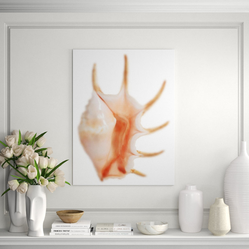 Sea Shell In White IV Print by Sofia Fox, Outdoor, 48" H x 36" W x 1.5" D