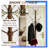 Heavy-Duty Freestanding Coat Rack With 12 Hooks, Solid Wood Stand And Sturdy Triangle Base, 200Lb Capacity Hall Tree For Entryway, Hallway, Office, And Bedroom Organization