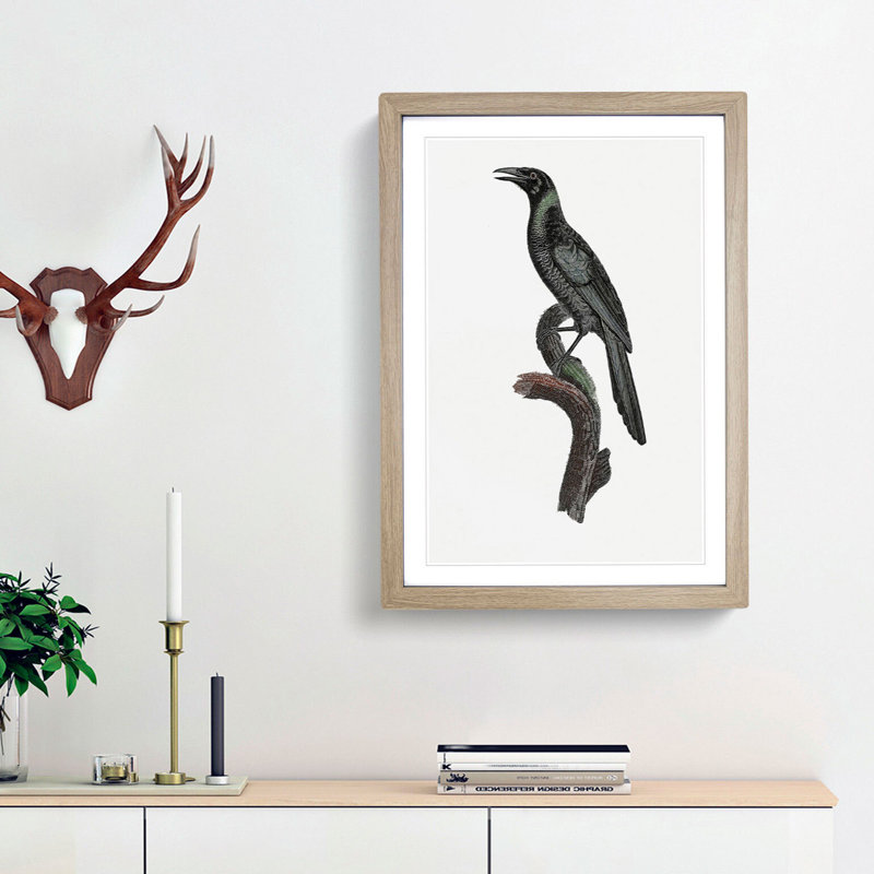 Manucode Bird of Paradise by Jacques Barraband - Picture Frame Painting Print, 48cm H x 36cm W x 2cm D, Oak Framed