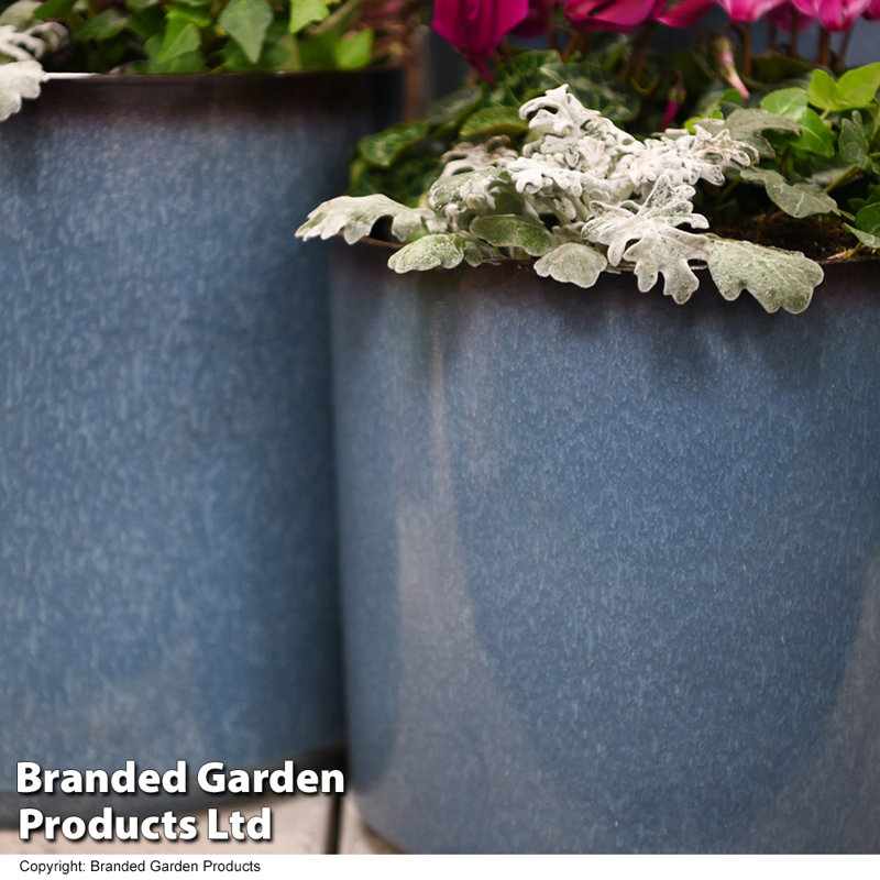 Placidia Pot Planter, 26cm H x 26cm W x 26cm D