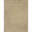 Damask Area Rug in Sand Dollar/Beige-1535843174