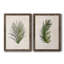 Palm Botanical I - Cadre photo, ensemble de reproductions d'art sur toiles-763922321-763922326