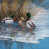 Toile tendue