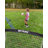 Net Playz Plastic with Carrying Case