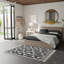 Catalan Aster Black-1247902223