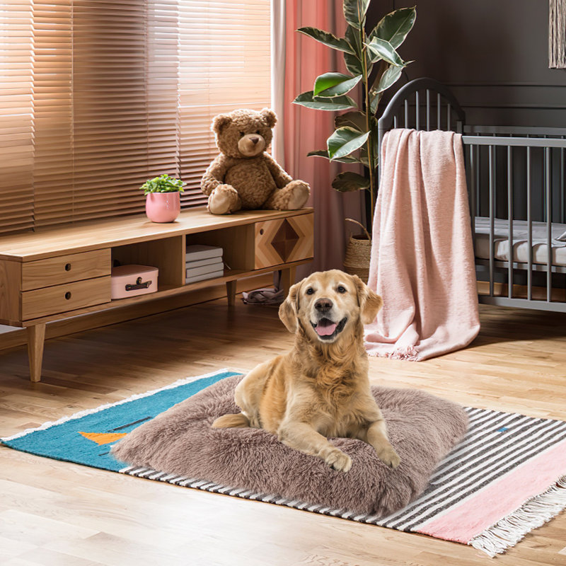 Tapis touffeté en fausse fourrure Precious Tails, Gris glacé, Moyen (l 23 po x P 35 po x H 2 po)