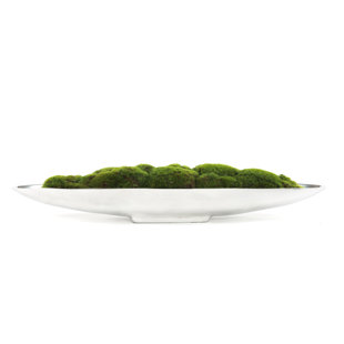 5'' Faux Moss Grass in Metal Boat Tray