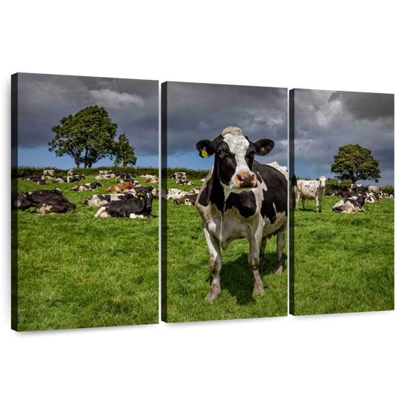 Brampt Holstein Cow, 24" H x 38" W