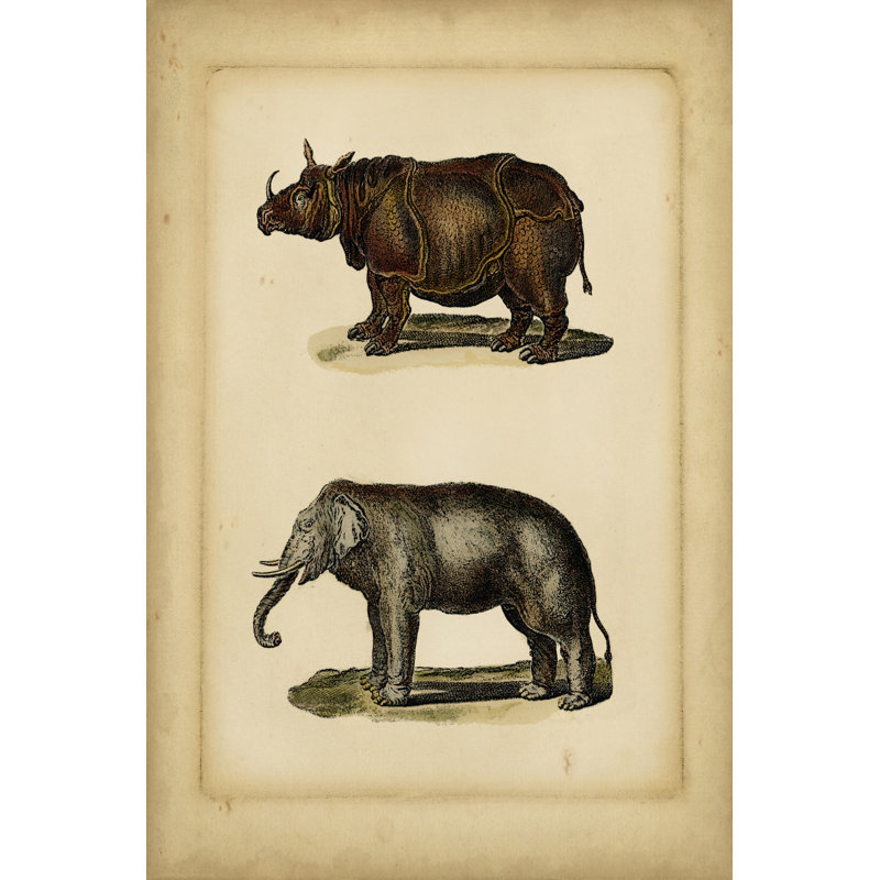 Studies In Natural History III - Wrapped Canvas Print, 122cm H x 81cm W x 3.8cm D