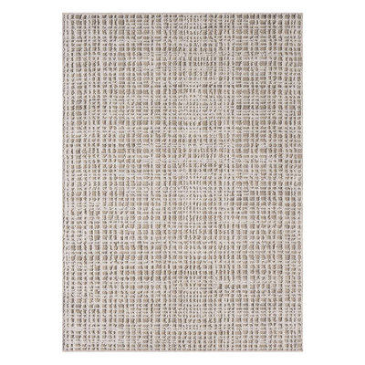 Burrosa Polypropylene Beige Indoor/Outdoor Rug