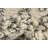 Walsenburg Oriental Indoor Rug-1723721825