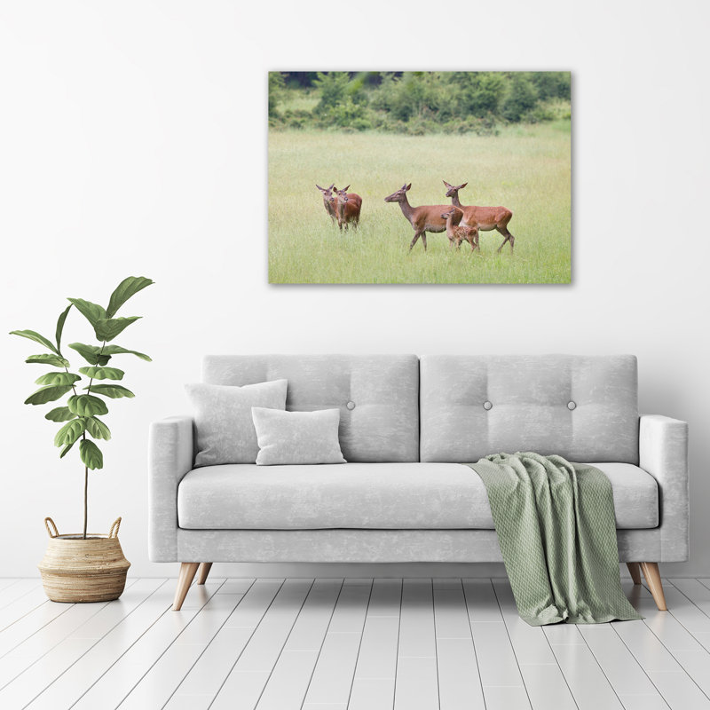 Roe With Young - No Frame Print on Canvas