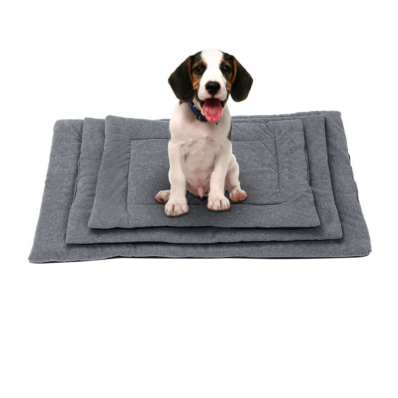 Lit pour animaux Eveleen, H 39,37 po x l 23,62 po x P 0,98 po