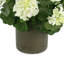 UV Protected Geranium Arrangement-1223956727-1223956726