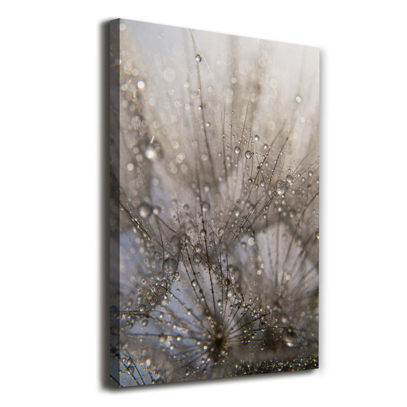Dandelion Seeds - Wrapped Canvas Print