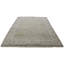 Oriental Area Rug