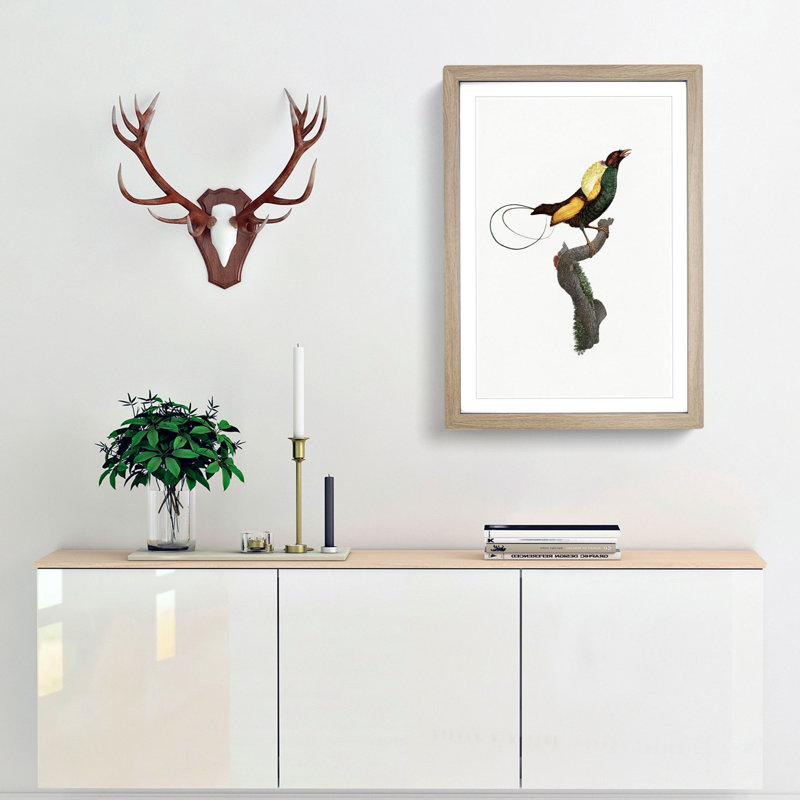 A Magnificent Bird of Paradise by Jacques Barraband - Framed Print, 45cm H x 33cm W x 2cm D, Oak Framed