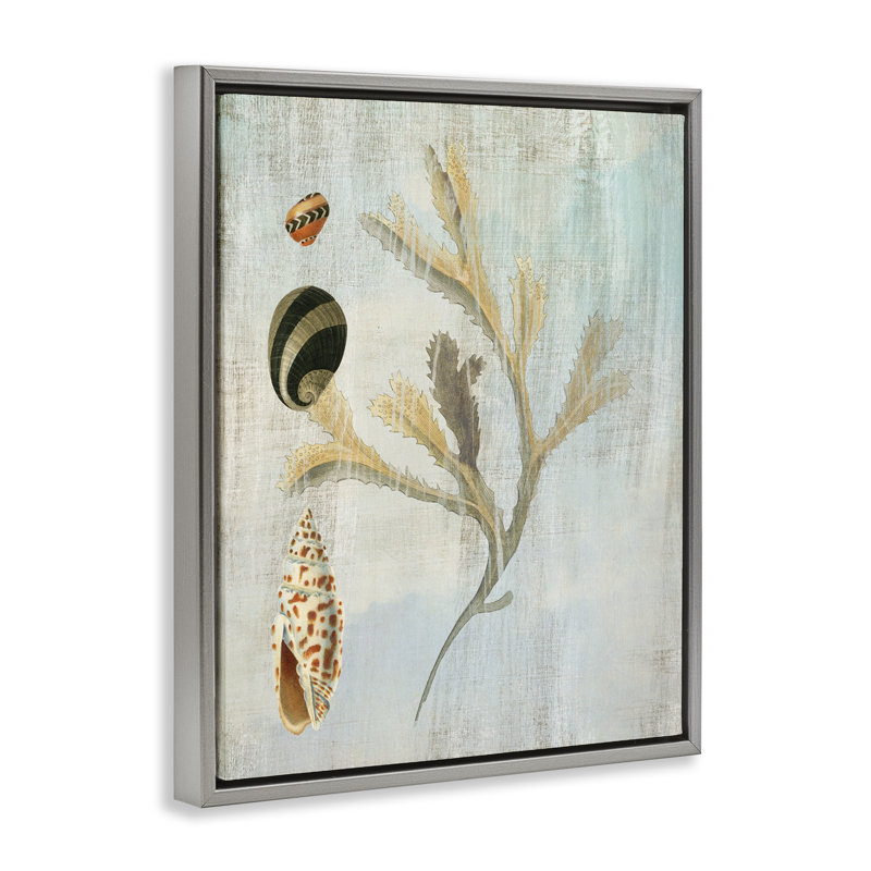 Cadre flottant mixte coquillages et corail, design par Susan Arnot, H 31 po x l 25 po, Cadre flottant gris lustré