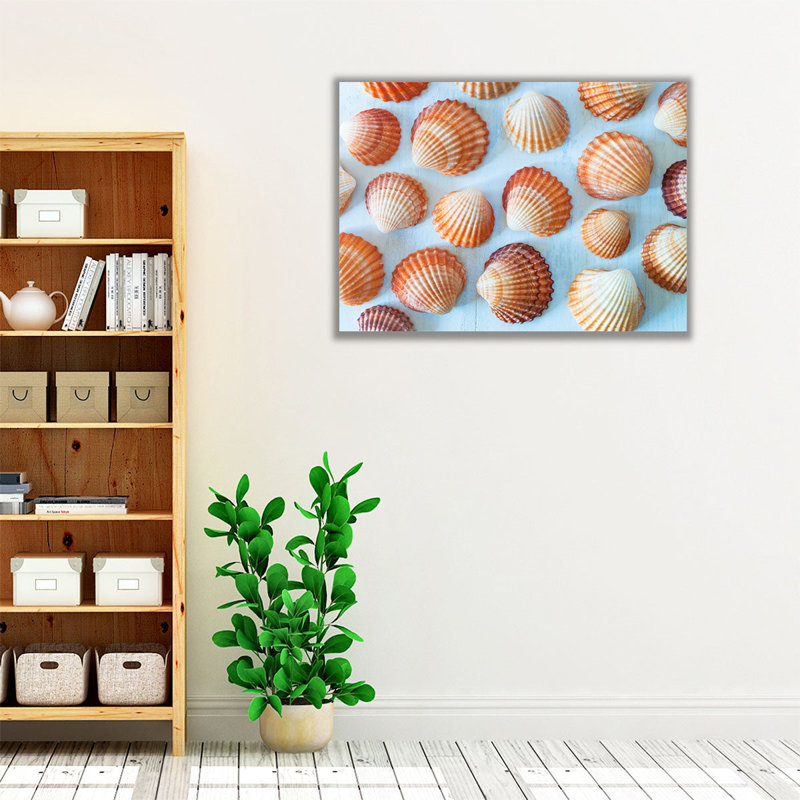 «Mass of Sea Shells», reproduction d'art sur toile, H 18 po x l 24 po