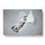 Two Doves by Ogata Gekko - Wrapped Canvas Painting-55361677