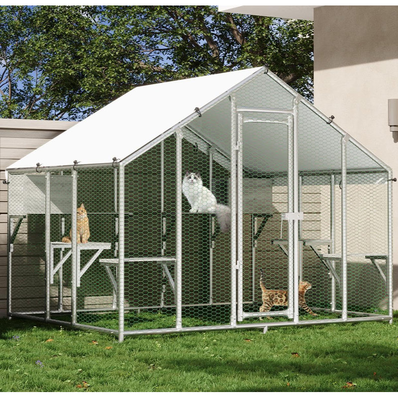 Cat Playpen