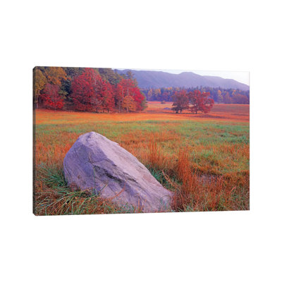 Boulder And Autumn Colored Deciduous Forest, Cades Cove, Great Smoky Mountains National Park, Tennessee by Tim Fitzharris - Wrapped Canvas Print