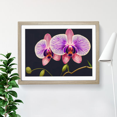Gentle Orchid Flowers - Single Picture Frame Print