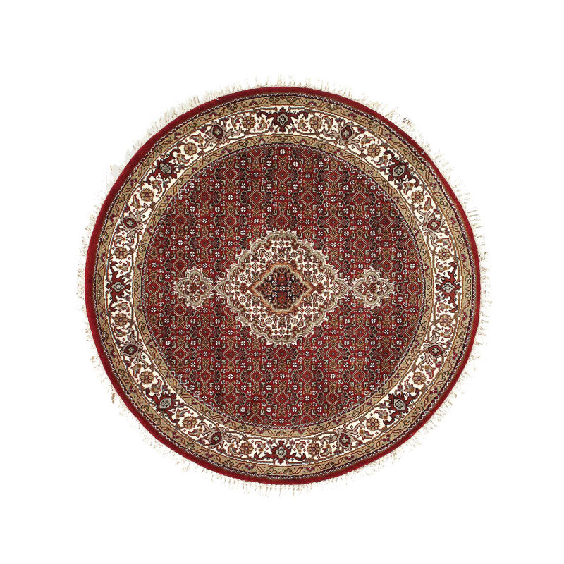 Kastriot Oriental Area Rug