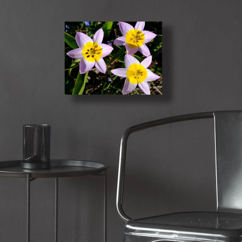 «Flowers Iii» par Epic Portfolio, art mural en verre acrylique, H 12 po x l 16 po x P 0,13 po