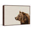 Side Furry Bear - Drawing on Canvas-420760324