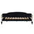 Upholstered Tufted Daybed With Two Drawers