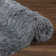 Petrey Rug