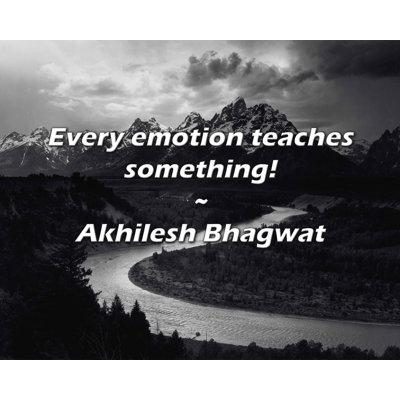 Akhilesh Bhagwat Quote: Every emotion teaches something!