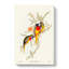 Splendid Grass-Parakeets by Elizabeth Gould - Wrapped Canvas-55318775