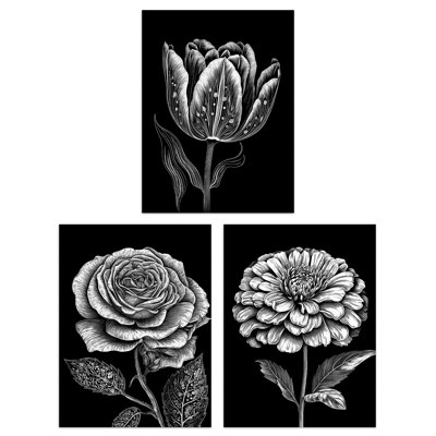 Elegant Single Tulip Rose Zinnia Spring Flowers Black White - 3 Piece No Frame Print Set