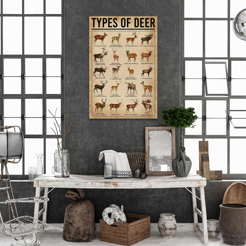 " Types Of Deer ", 36" H x 24" W x 1.25" D