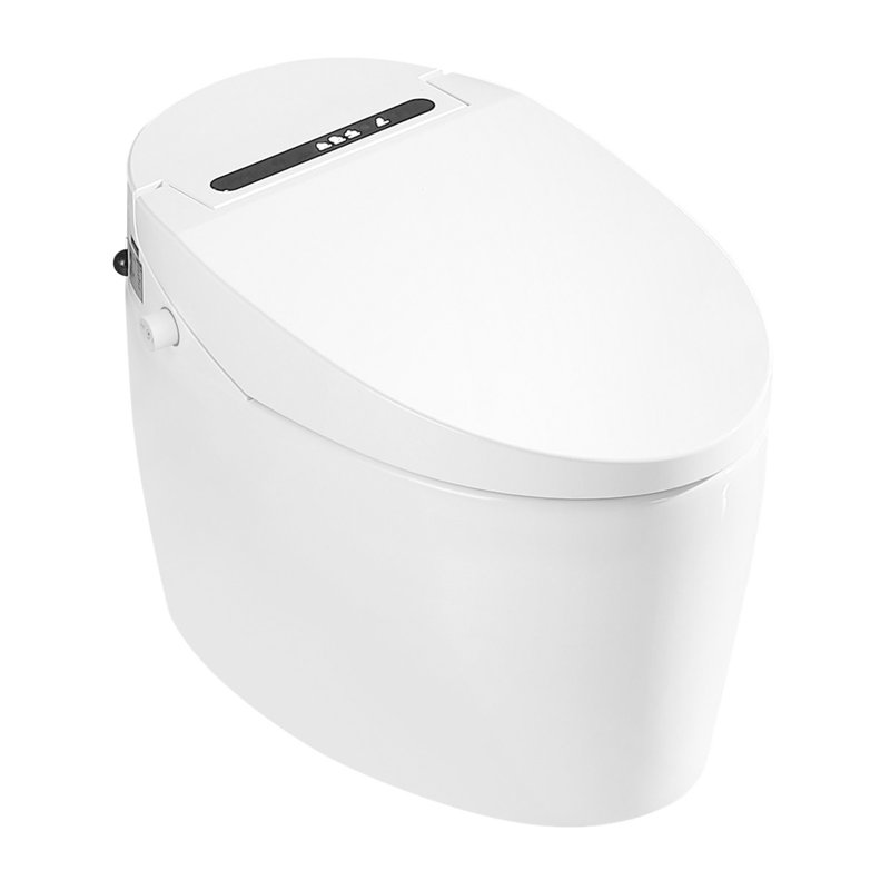 Intelligent Toilet Bidet in White with Auto Open/Close/Flush, Heated Seat/Remote,Foot Sensor Flush