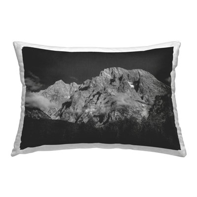  Polyester Throw Pillow