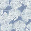 Del Coco Sheer Fabric-50800932