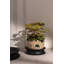 Metal Saucer Plant Stand