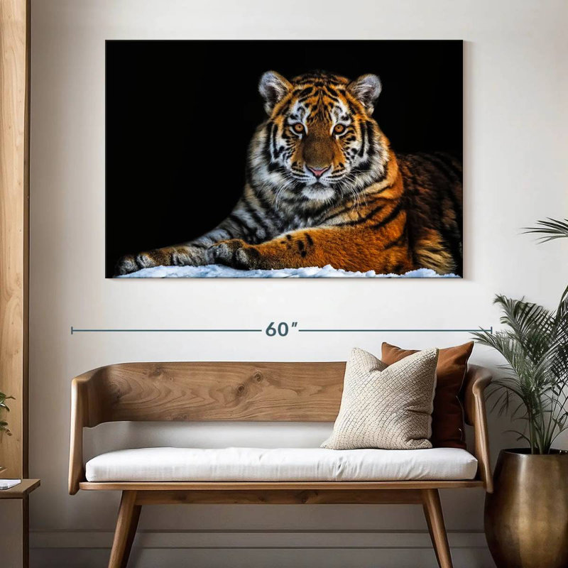 Tigre instantané, H 34 po x l 51 po